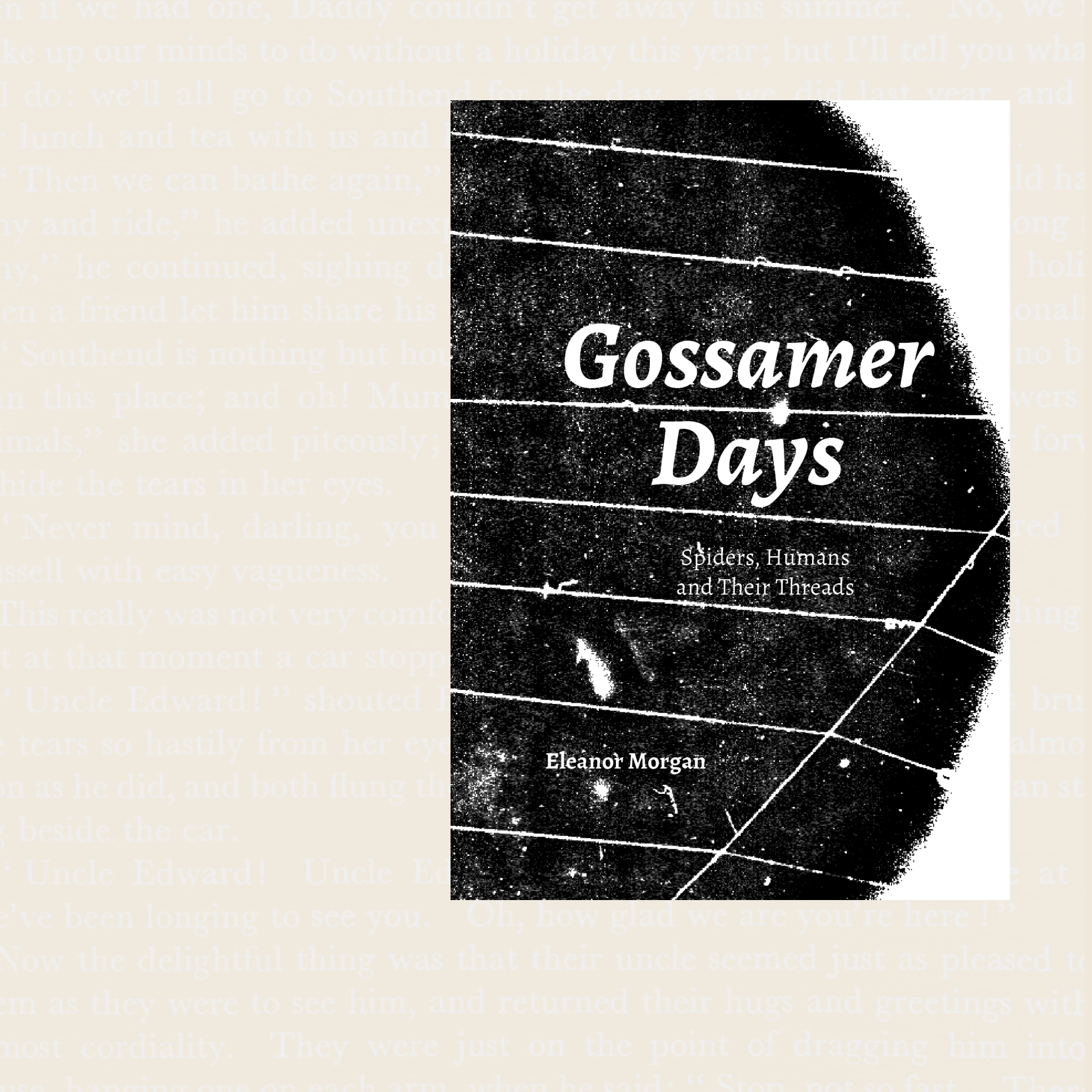 Gossamer Days: Spiders, Humans, and Their Threads